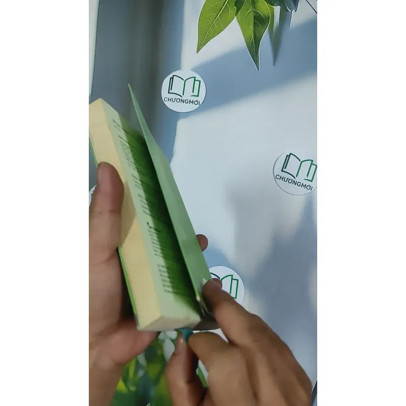 Phải lòng với cô đơn - Kulzsc 798499