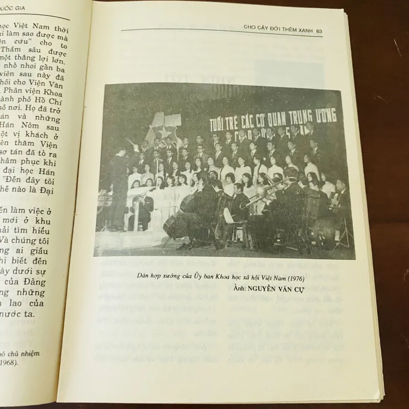 Cho cây đời thêm xanh (1993) 975926