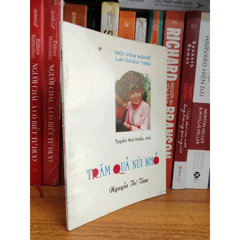 Trăm quả núi nhỏ - Nguyễn Tri Tâm 1028034