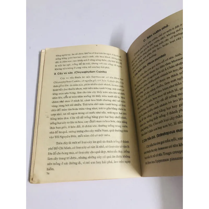 KỸ THUẬT TRỒNG HOA KIỂNG 760017