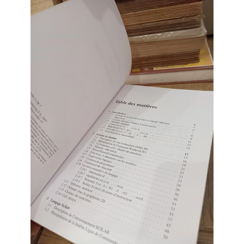 Débuter en algorithmique avec Matlab et Scilab - Jean-Pierre Grenier 778196