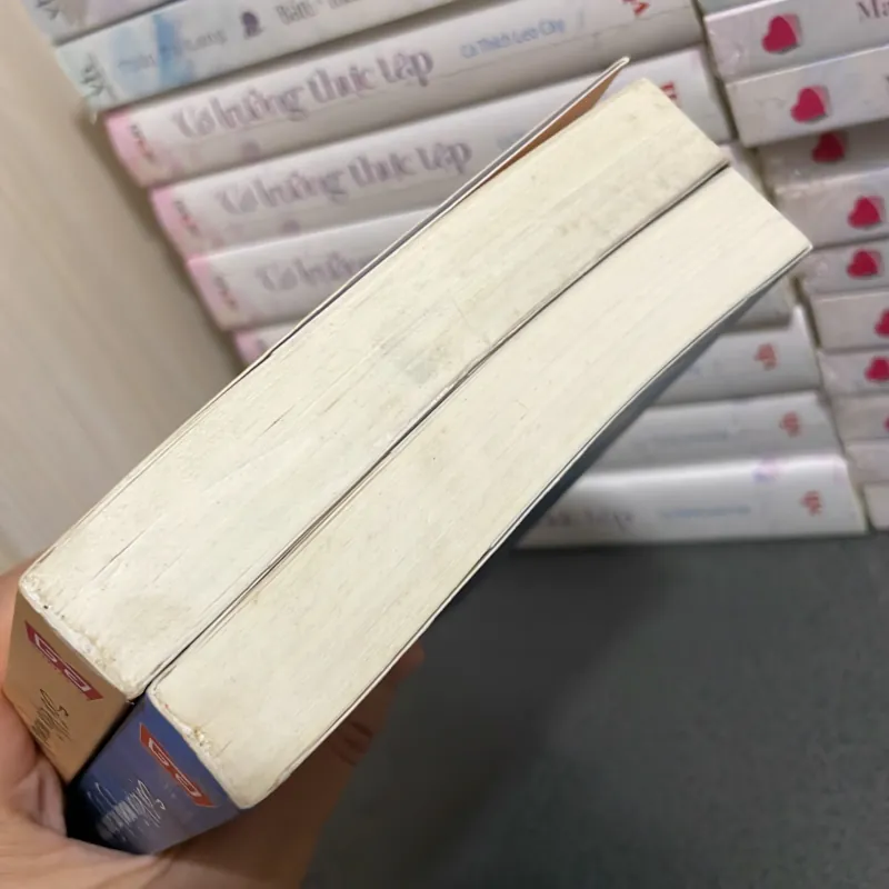 (ngôn tình) - Sợi khói mỏng lạc giữa trần ai - Diệp Lạc Vô Tâm ( 2 tập ) 990935