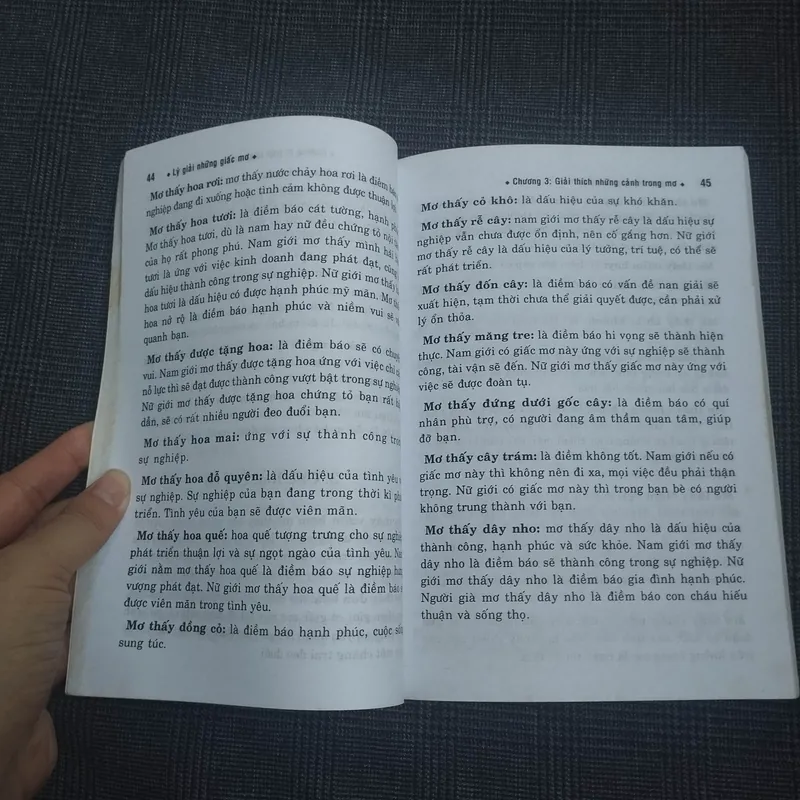 Lý giải những Giấc mơ - Ngô Nguyên Tông - Nguyễn Đặng Thùy An (biên dịch) 682154