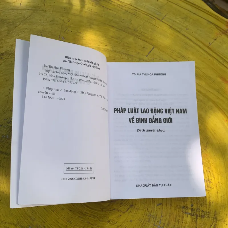  COMBO PHÁP LUẬT LAO ĐỘNG VIỆT NAM VỀ BÌNH ĐẲNG GIỚI & NỮ LÃNH ĐẠO VÀ ĐỊNH KIẾN GIỚI  788046