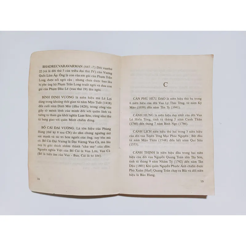 Vua Chúa Việt Nam - Bùi Thiết 728295