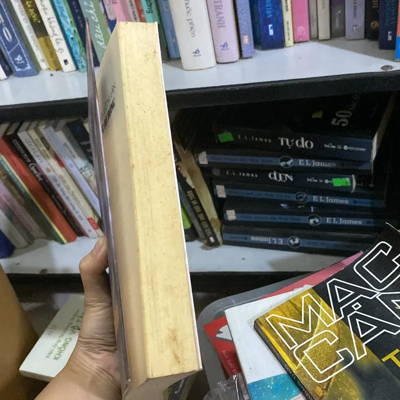 Madam Nhu Trần Lệ Xuân Quyền lực bà rồng  568629