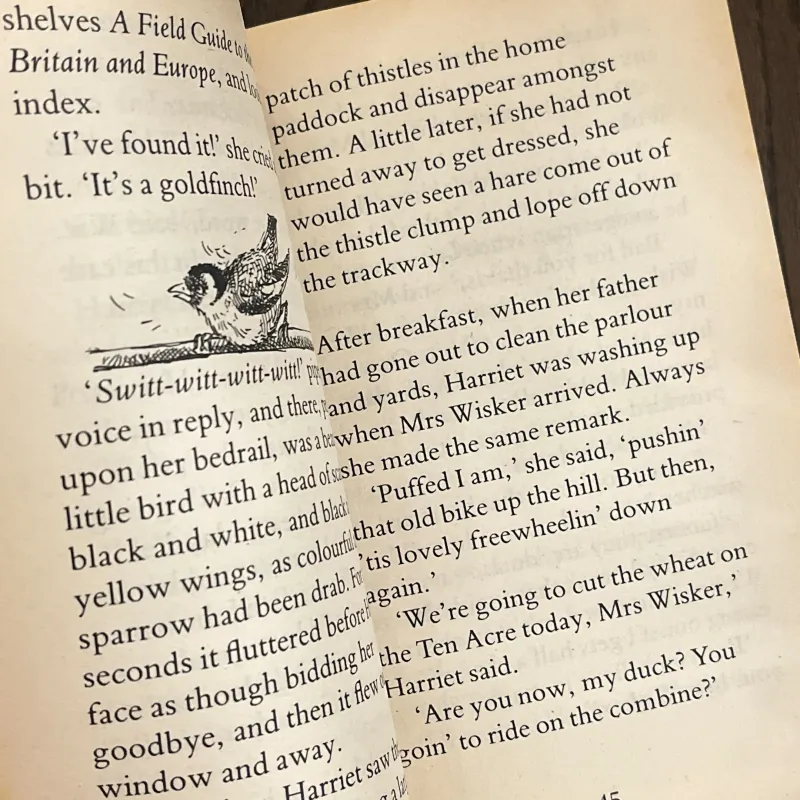 ✨𝑯𝒂𝒓𝒓𝒊𝒆𝒕'𝒔 𝑯𝒂𝒓𝒆✨ (A 1995 Parenting Magazine Reading Magic Award winner) 711706