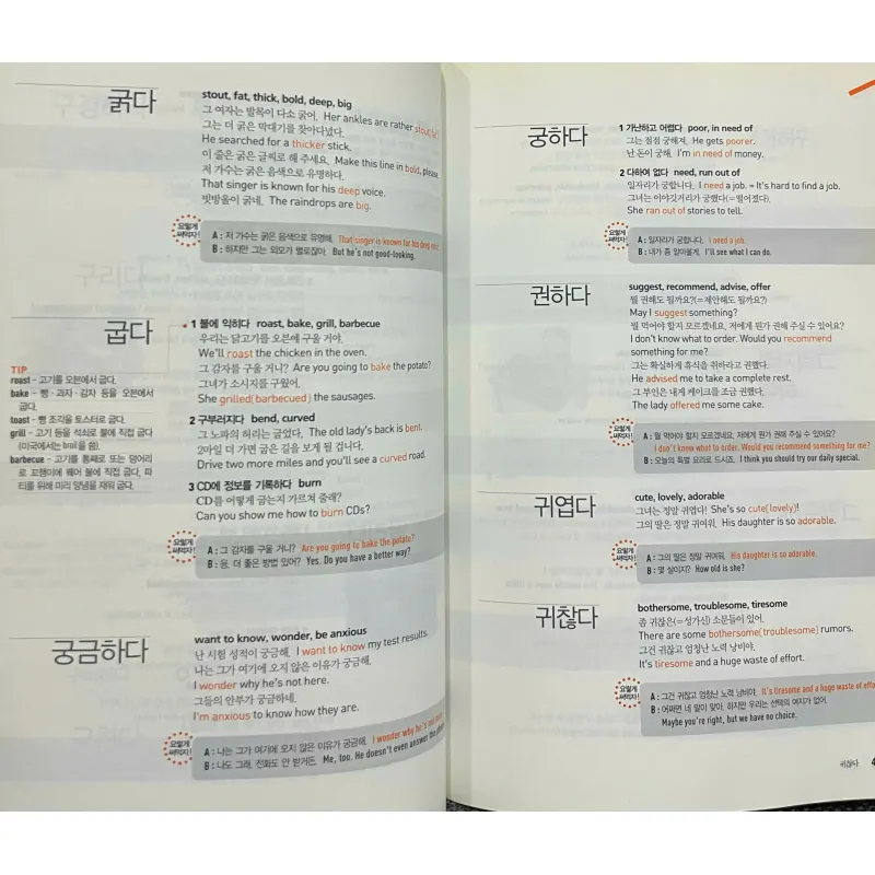 Từ điển tập trung vào động từ và tính từ  바로 찾아 바로 쓰는 영어표현사전 796355