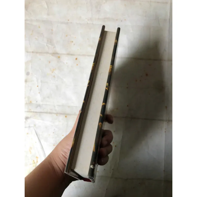 Hoàng Lê Nhất Thống Chí - Ngô Gia Văn Phái 993935