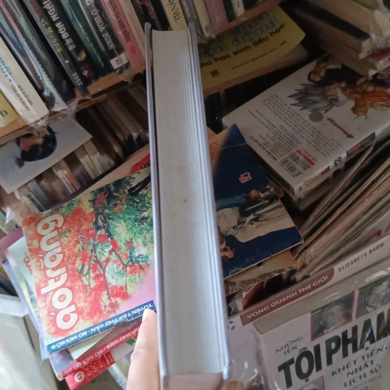 Nguyễn Thị Bình với sự nghiệp giáo dục  1034751