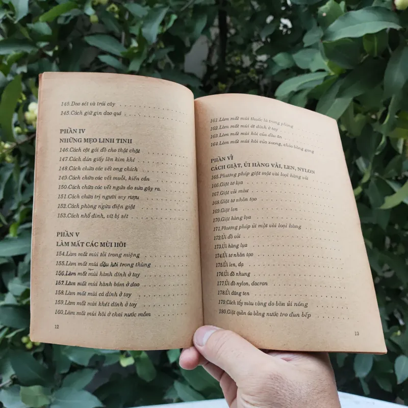 Mẹo Vặt Cho Người Đảm Đang - Nguyễn Duy - Thuỳ Minh 759351