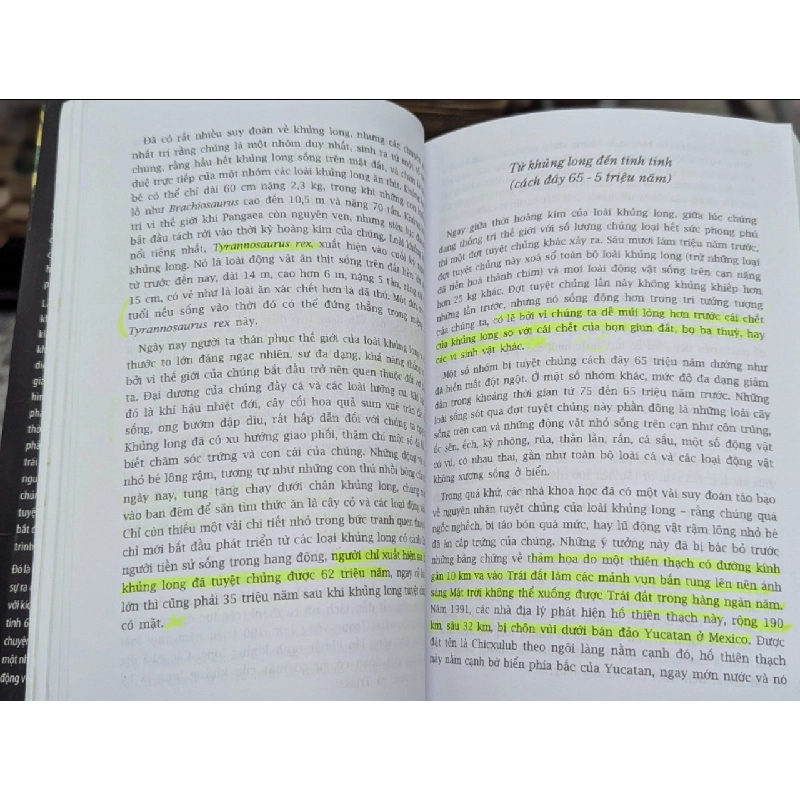 Đại sử: từ vụ nổ lớn đến hiện tại - Cynthia Stokes Brown (Phan Triều Anh dịch) 473847