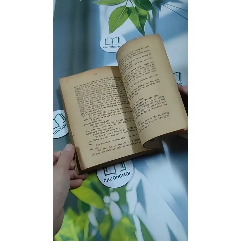 Tâm Hồn Cao Thượng (1989) 713894