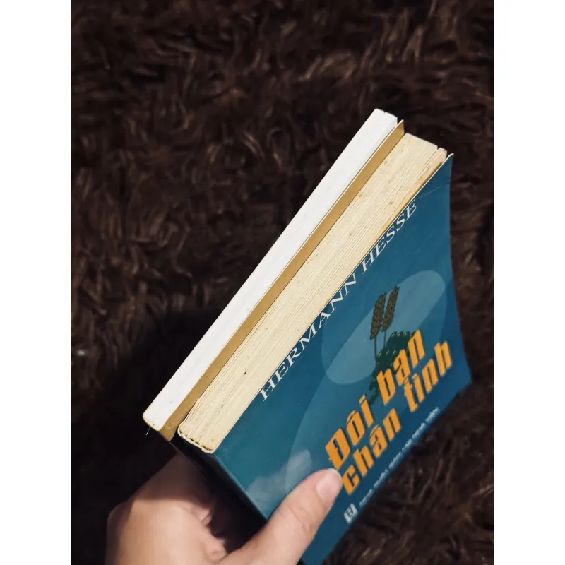 Combo đôi bạn chân tình + ảo hoá 990999