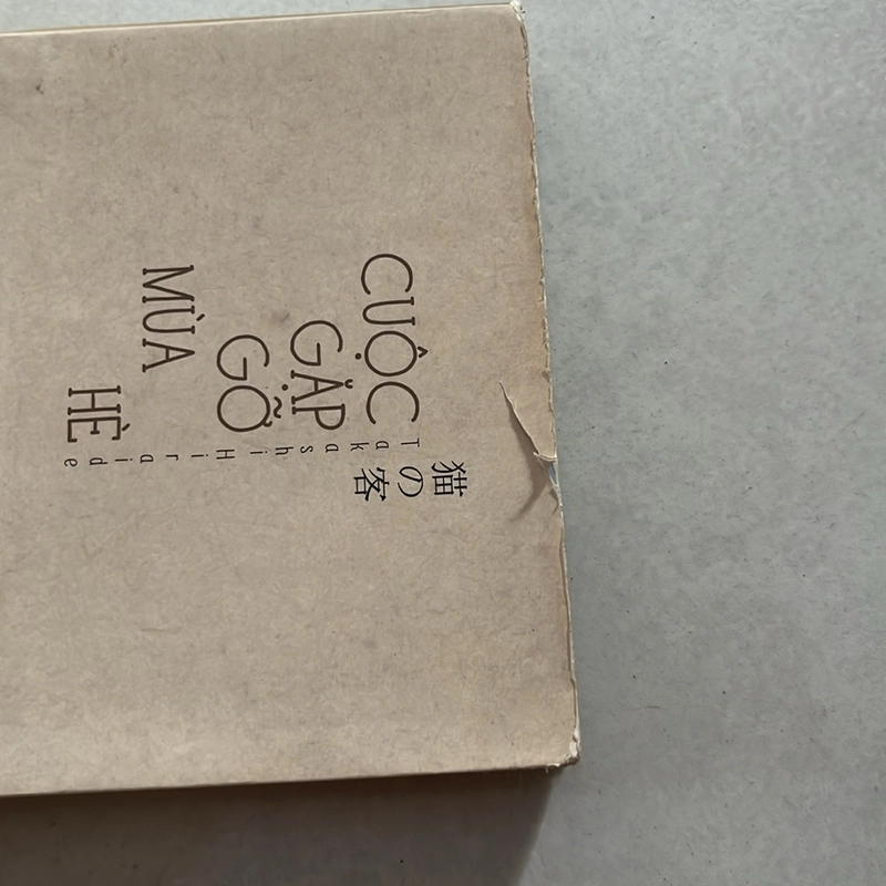 Cuộc gặp gỡ giữa mùa hè — Hạ Lâm dịch 499658