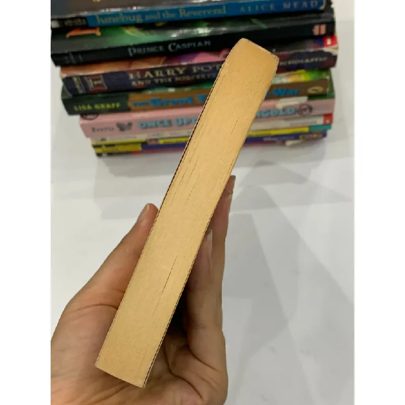 The Secret of Platform 13 – Eva Ibbotson 559634