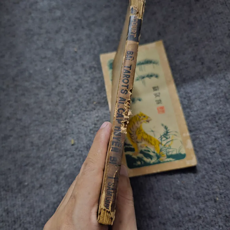 Quẻ bói bài Ai Cập Tarots huyền bí- xuất bản 1970 736578
