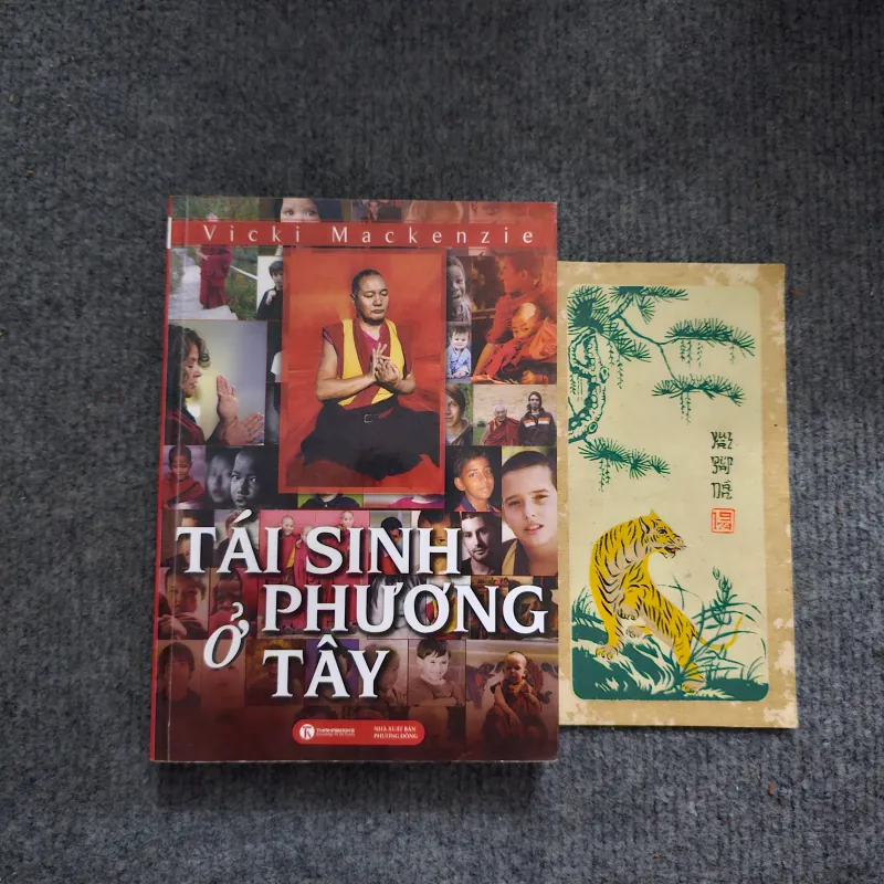 Tái sinh ở phương tây - vicki mackenzie 745656