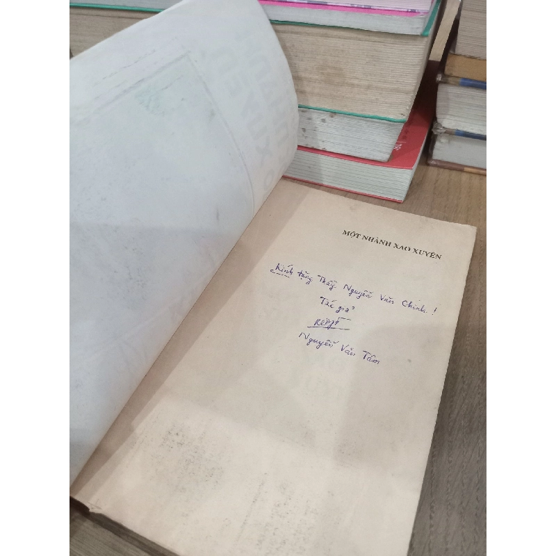 Một nhành xao xuyến - Nguyễn Văn Tâm, Nhật Anh, Triệu Lam Châu 732711