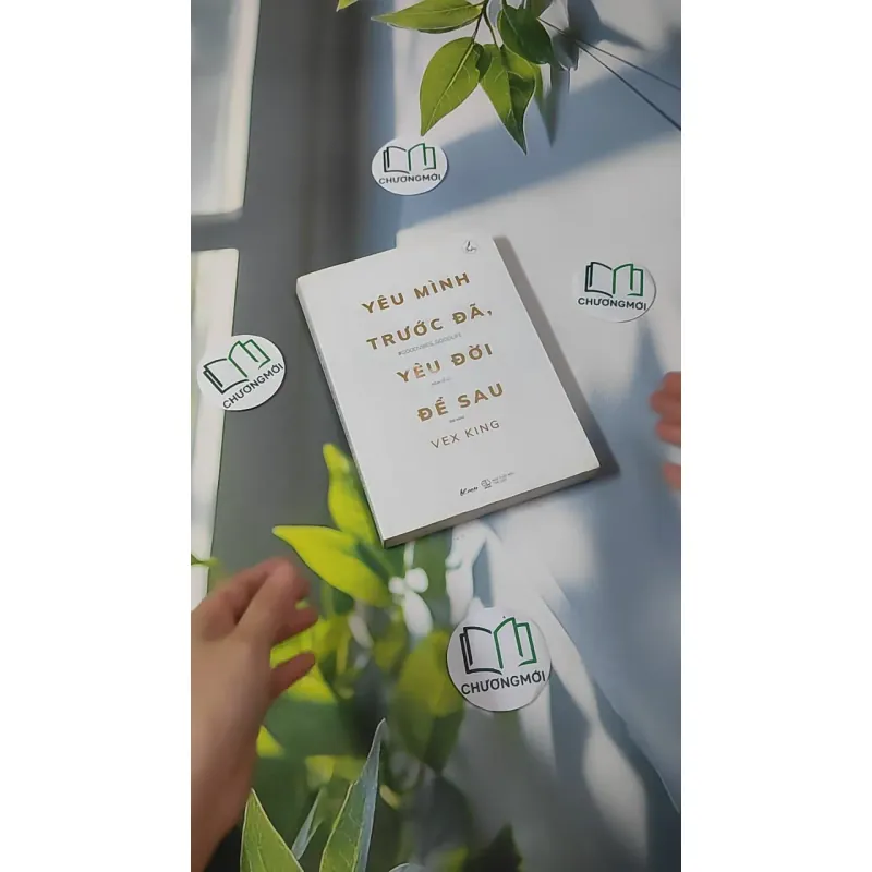 Yêu Mình Trước Đã, Yêu Đời Để Sau - Vex King 961185