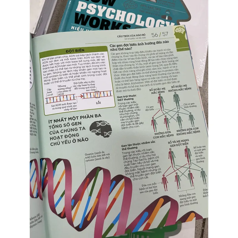 COMBO 4 CUỐN HIỂU HẾT VỀ - DK 750498