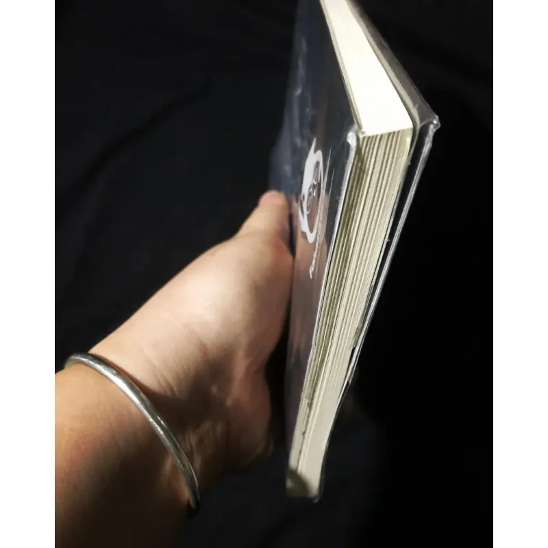 Mối Tình Của Ông Hire - Georges Simenon 759104