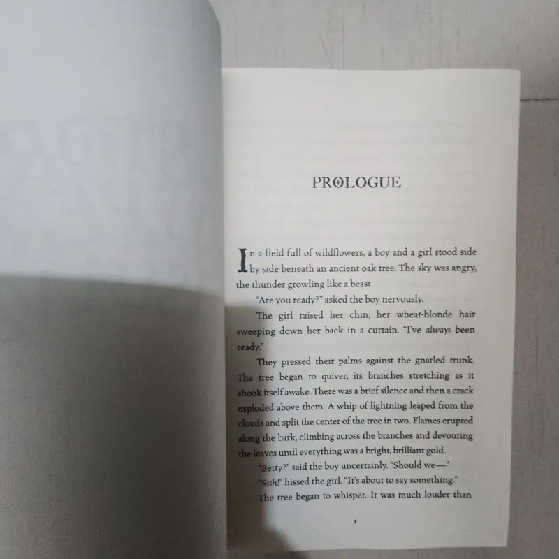 Sách The storm keeper's island 785928