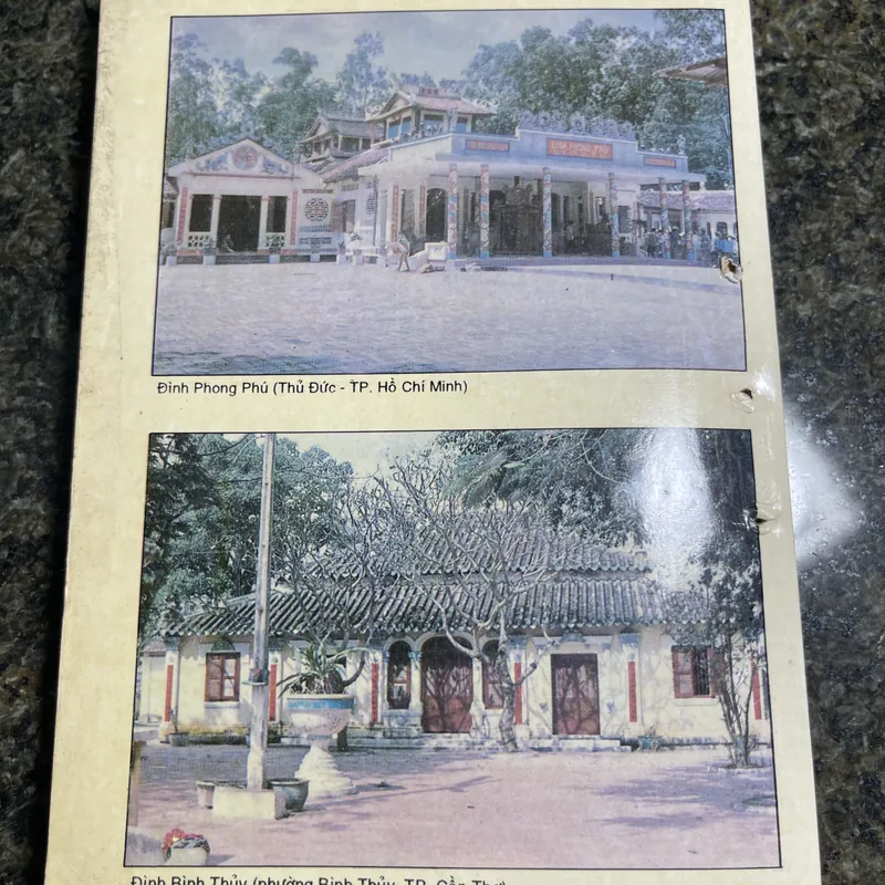 Đình nam bộ tín ngưỡng và nghi lễ Huỳnh Ngọc Trảng, Trương Ngọc Tường 706073