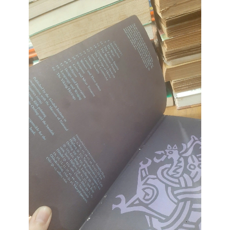 Vikings - Carin Orrling 776235