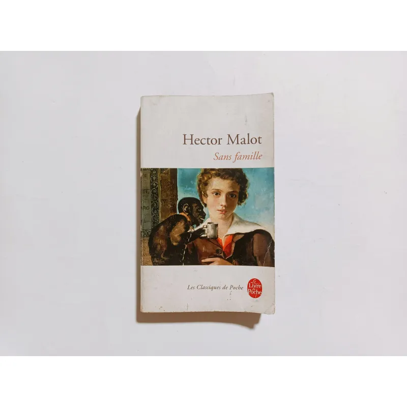 Sans Famille - Hector Malot 975834