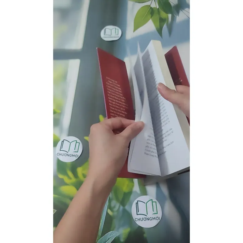 [MIỄN PHÍ BỌC SÁCH] Chính Phủ Cách Mạng Lâm Thời Cộng Hòa Miền Nam Việt Nam - Nguyễn Đình Thống 1018898