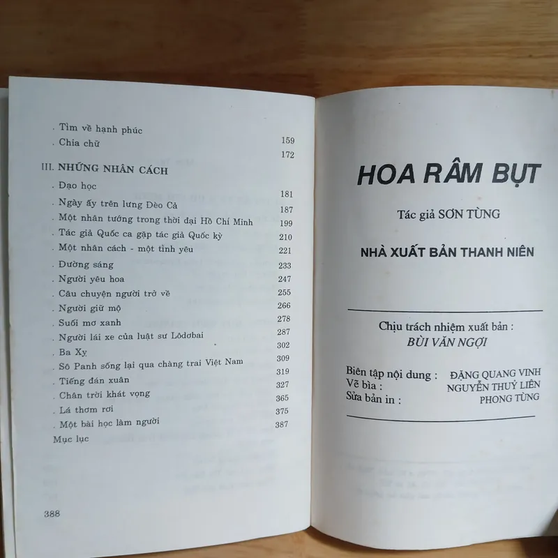 Hoa Râm Bụt - Sơn Tùng 728450