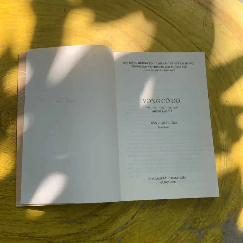 VỌNG CỐ ĐÔ - TRẦN PHƯƠNG TRÀ 785109