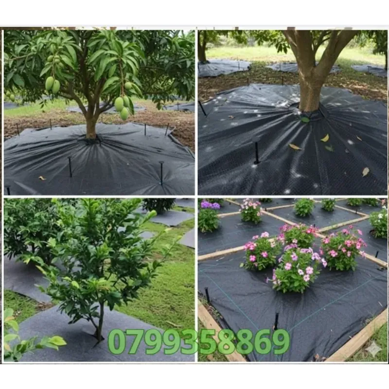 Bạt Phủ Cỏ Tại Tam Kỳ – Chống Cỏ Dại 100%, Bền 3–5 Năm | Kim Châu Hà 716474