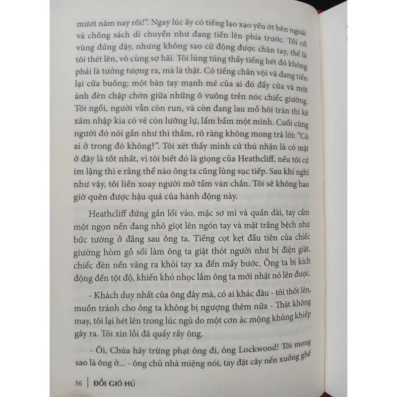 ĐỒI GIÓ HÚ - EMILY BRONTE 561393