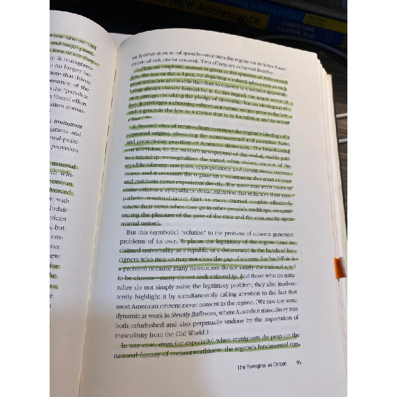 Democray and the Foreigner - Bonnie Honig 449130