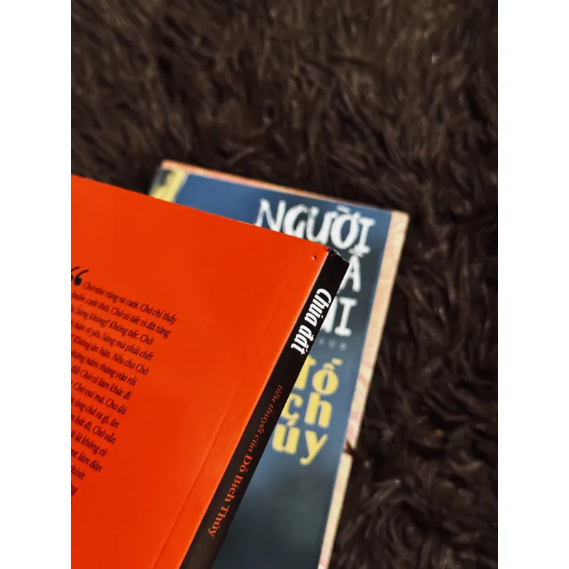 Sách Đỗ Bích Thuý 932559