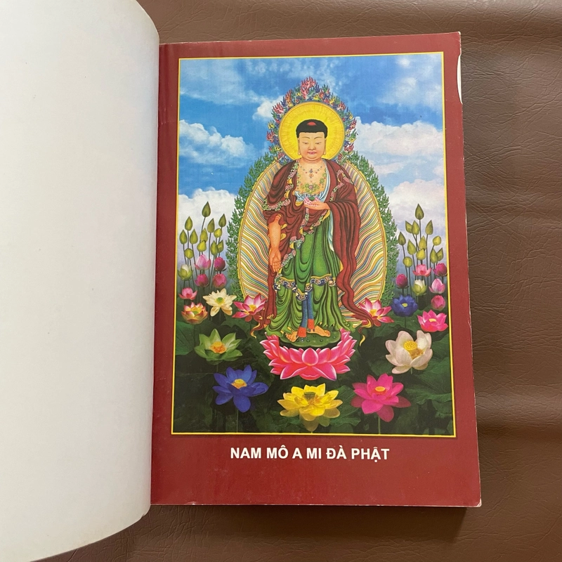 II Kinh Nghiệm Niệm Phật Và Những Chuyện Luân Hồi - Cư Sĩ: Diệu Âm Diệu Ngộ - 2012 495743