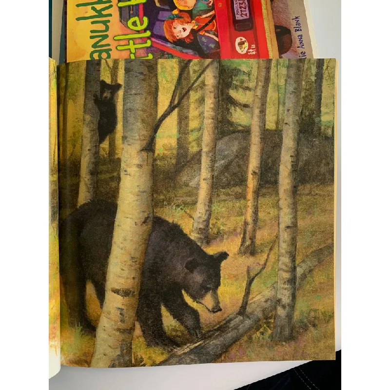 Shh! Bears Sleeping – David Martin 561133