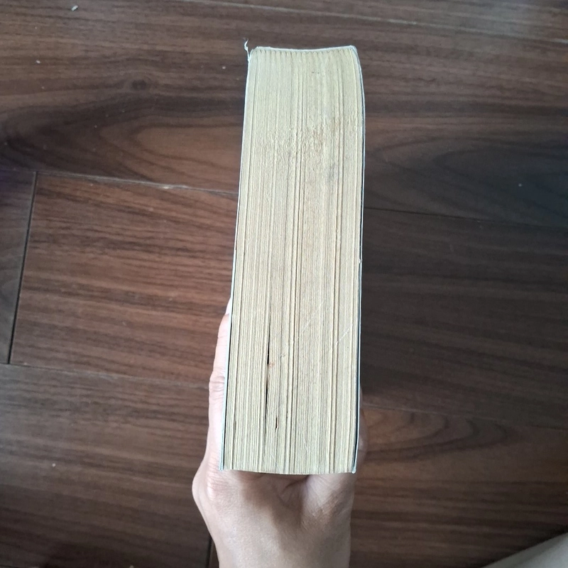 Gió mag kí ức thổi thành những cánh hoa 510009