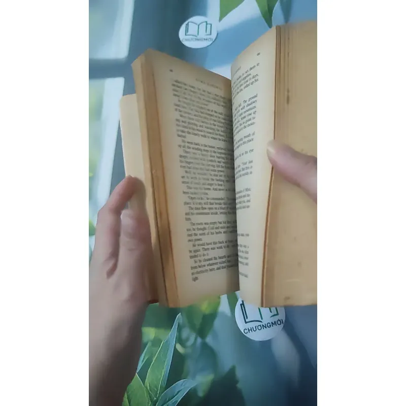 Morrigan's Cross - Nora Roberts 1027229