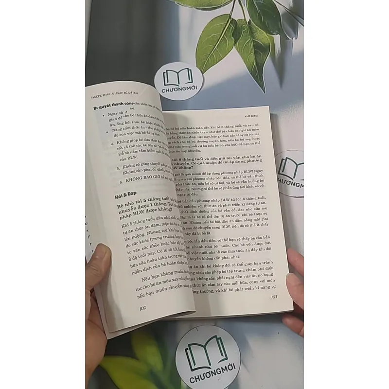 Phương pháp ăn dặm bé chỉ huy 688485