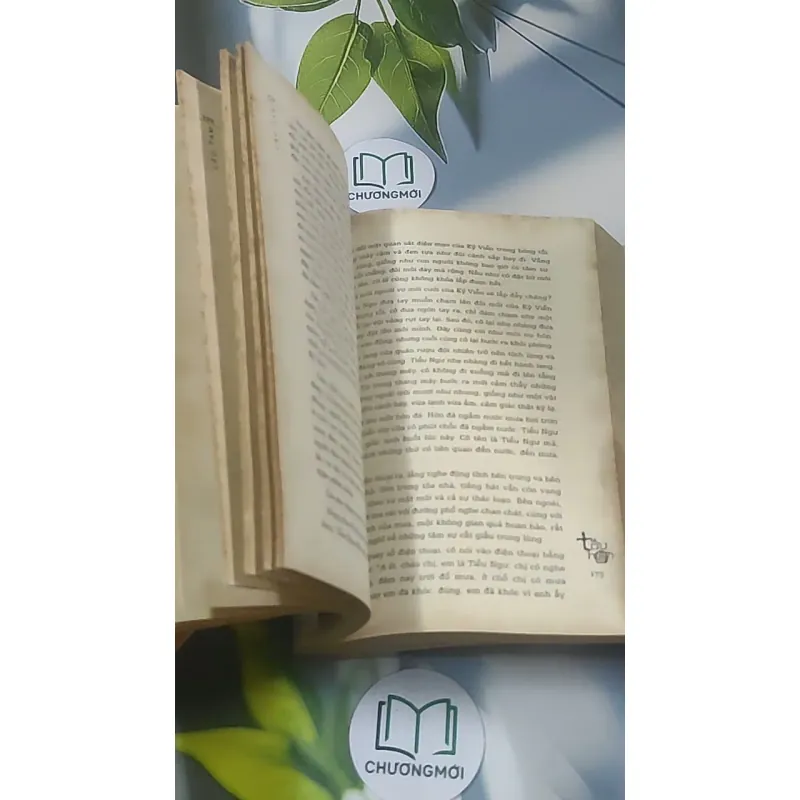 Tẩu hôn - Lão Tam 688593