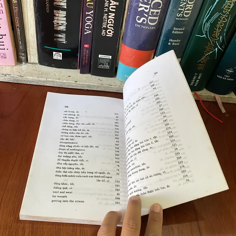 II Thơ: Thử Tìm Dấu Chân Trên Cát (Ghi Chép Về Thơ Thầy Nhất Hạnh) - Nhất Hạnh - Lá Bối 559039