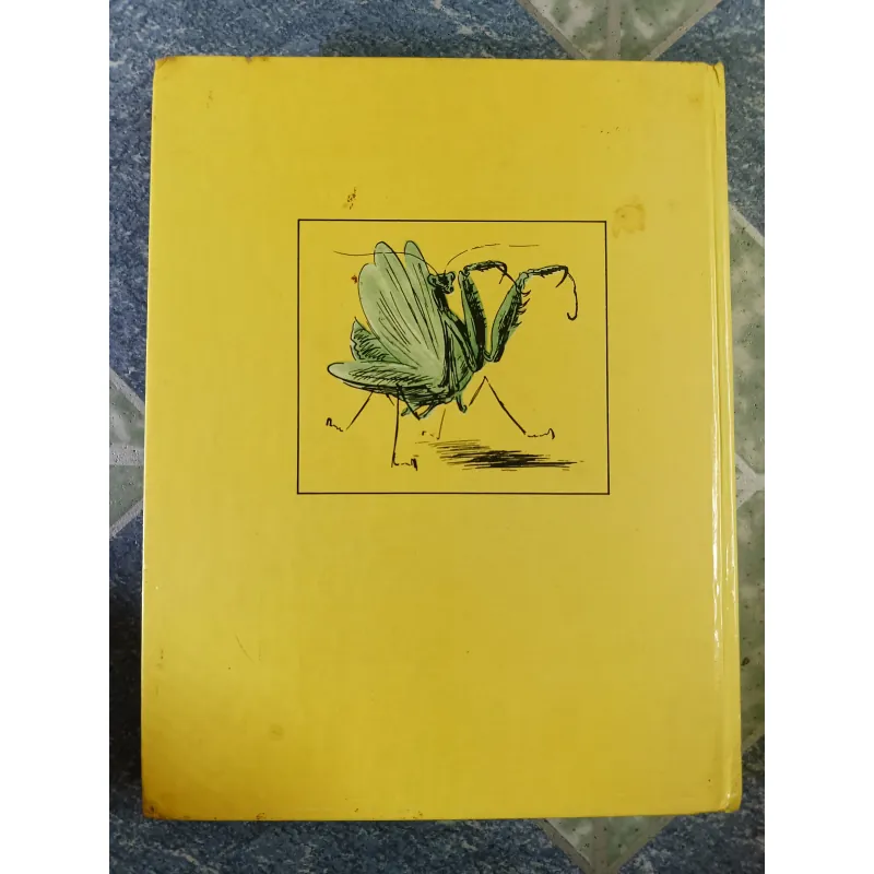 Ở Xứ Cỏ Rậm - Vladimir Bra-ghin 751477