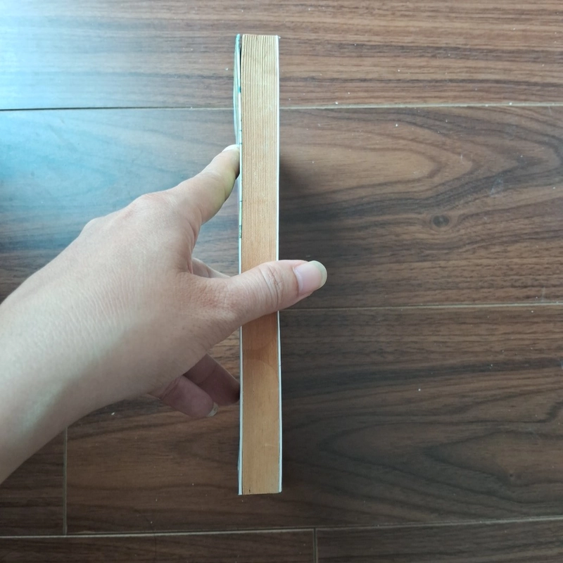 Trở lại với đời 506377