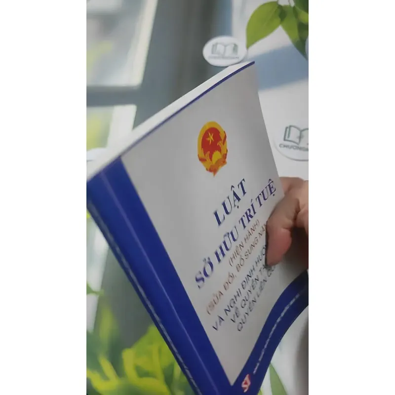 Luật Sở Hữu Trí Tuệ Và Nghị Định Hướng Dẫn Về Quyền Tác Giả, Quyền Liên Quan 727366