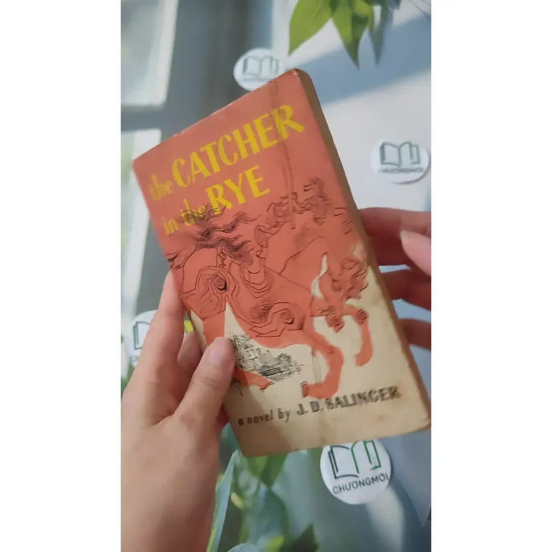 [MIỄN PHÍ BỌC SÁCH] [XƯA] The Catcher in the Rye (1951) - J. D. Salinger 1027211