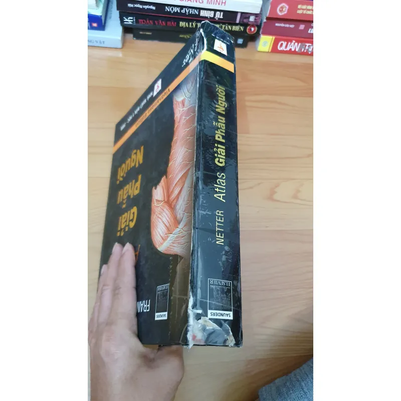 ATLAS GIẢI PHẪU NGƯỜI  761036