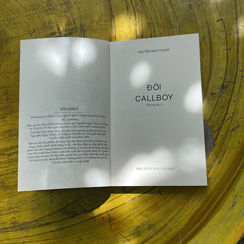 ĐỜI CALLBOY- (3)- NGUYỄN NGỌC THẠCH 706853